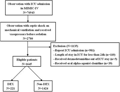 Dexmedetomidine only regimen for long-term sedation is associated with reduced vasopressor requirements in septic shock patients: A retrospective cohort study from MIMIC-IV database